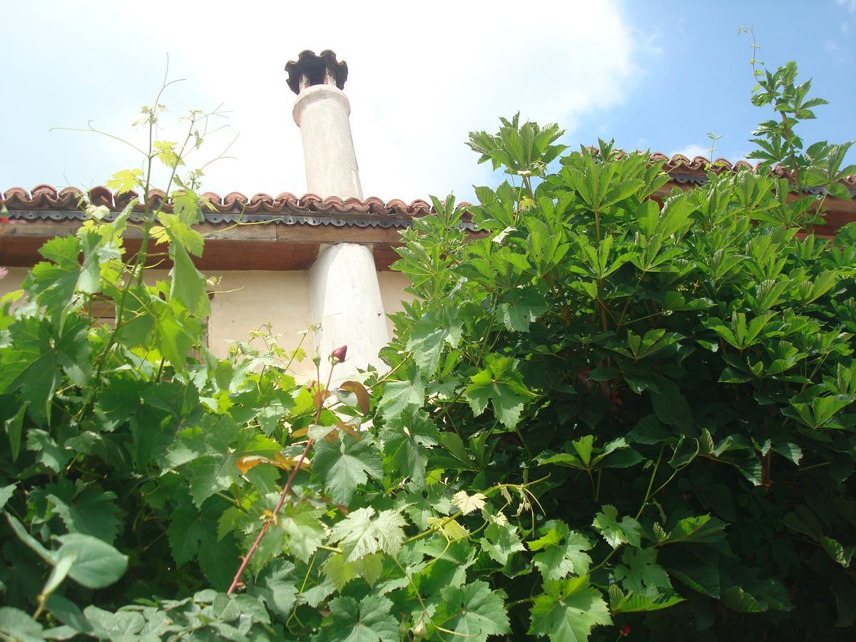 Oikia Alexandrou Traditional Inn Arnaía Esterno foto