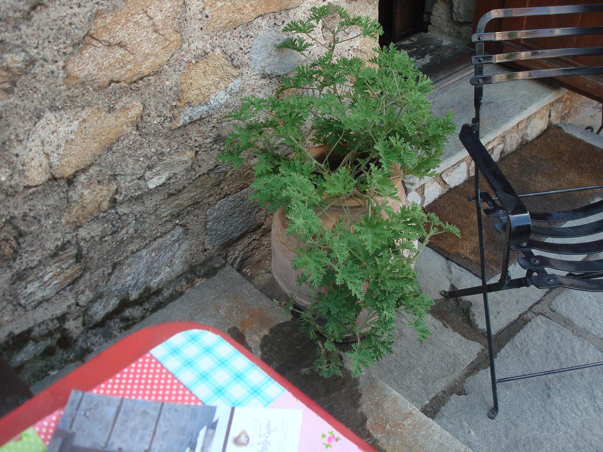 Oikia Alexandrou Traditional Inn Arnaía Esterno foto